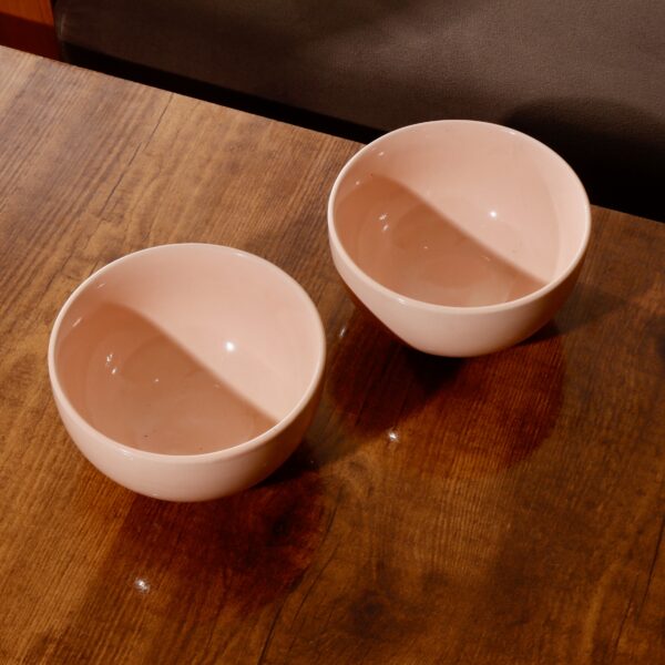 Pasta Bowl Company